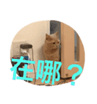 可愛すぎる代々木（個別スタンプ：38）