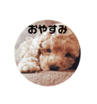 まもるのつぶやき（個別スタンプ：4）