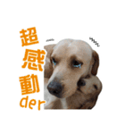 ミルクティー＆フレンド（個別スタンプ：11）