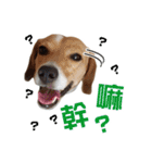 ミルクティー＆フレンド（個別スタンプ：14）