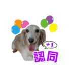 ミルクティー＆フレンド（個別スタンプ：23）