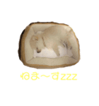 くぅちゃんとオマケ2（個別スタンプ：3）