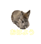 くぅちゃんとオマケ2（個別スタンプ：8）
