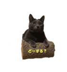 かわいいネコたちスタンプ（個別スタンプ：12）