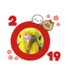セキセイインコ みどり（個別スタンプ：8）