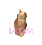 ねこのピーさん（個別スタンプ：19）