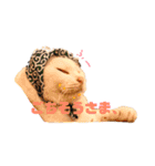 ねこのピーさん（個別スタンプ：24）