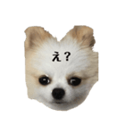 Tom.hana ♥（個別スタンプ：2）