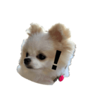 Tom.hana ♥（個別スタンプ：4）