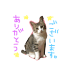 Rain⑤（個別スタンプ：1）