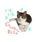 Rain⑤（個別スタンプ：2）