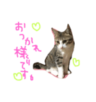 Rain⑤（個別スタンプ：3）