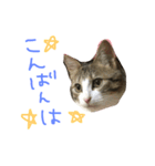 Rain⑤（個別スタンプ：4）