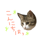 Rain⑤（個別スタンプ：5）