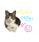 Rain⑤（個別スタンプ：7）