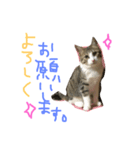 Rain⑤（個別スタンプ：8）