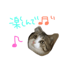 Rain⑤（個別スタンプ：9）
