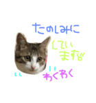 Rain⑤（個別スタンプ：10）