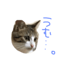 Rain⑤（個別スタンプ：13）