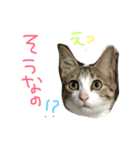 Rain⑤（個別スタンプ：14）