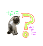 Rain⑤（個別スタンプ：16）