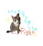 Rain⑤（個別スタンプ：17）
