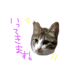 Rain⑤（個別スタンプ：18）