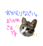Rain⑤（個別スタンプ：19）
