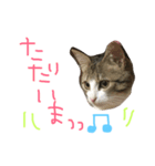 Rain⑤（個別スタンプ：20）