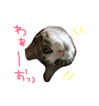 Rain⑤（個別スタンプ：21）