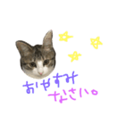 Rain⑤（個別スタンプ：22）