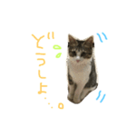 Rain⑤（個別スタンプ：23）