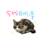 Rain⑤（個別スタンプ：24）