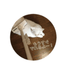 はらぺこ ハカセ（個別スタンプ：4）