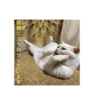 はらぺこ ハカセ（個別スタンプ：7）