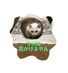 はらぺこ ハカセ（個別スタンプ：8）