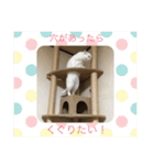 はらぺこ ハカセ（個別スタンプ：10）