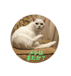 はらぺこ ハカセ（個別スタンプ：13）