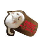 はらぺこ ハカセ（個別スタンプ：14）