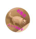 はらぺこ ハカセ（個別スタンプ：23）
