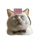 はらぺこ ハカセ（個別スタンプ：24）