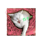 はらぺこ ハカセ（個別スタンプ：25）