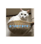 はらぺこ ハカセ（個別スタンプ：26）