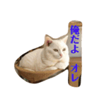はらぺこ ハカセ（個別スタンプ：30）