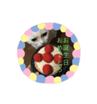 はらぺこ ハカセ（個別スタンプ：40）