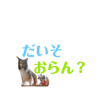 田舎暮らしのはなちゃん。2（個別スタンプ：23）