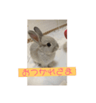 むーすスタンプ（個別スタンプ：8）