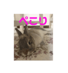 むーすスタンプ（個別スタンプ：13）