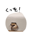 うさぎのぱん（個別スタンプ：6）