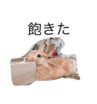 うさぎのぱん（個別スタンプ：13）